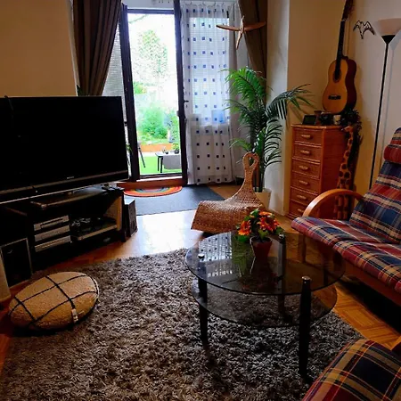 Big Spacious Family House Soustalova Street By Hifiklubbrno