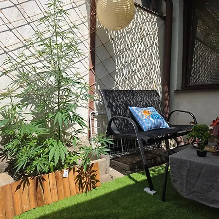 아파트 Big Spacious Family House Soustalova Street By Hifiklubbrno *
