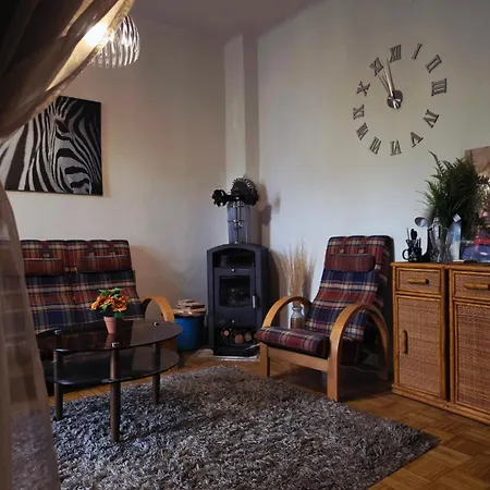 Big Spacious Family House Soustalova Street By Hifiklubbrno 아파트