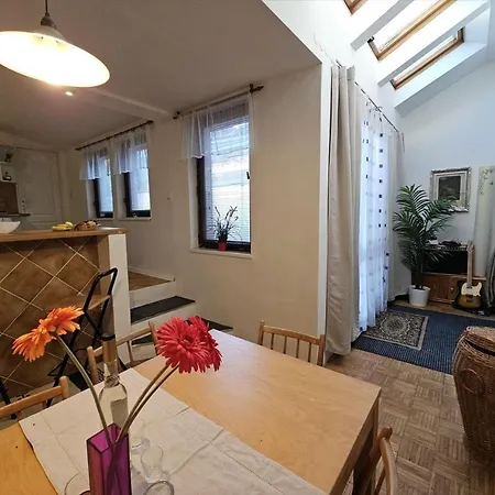 Big Spacious Family House Soustalova Street By Hifiklubbrno