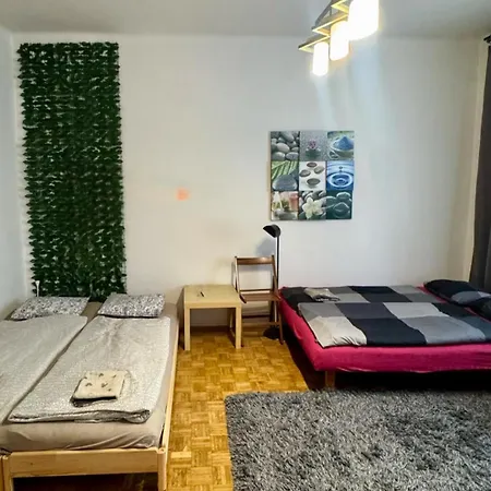 Big Spacious Family House Soustalova Street By Hifiklubbrno Apartman *