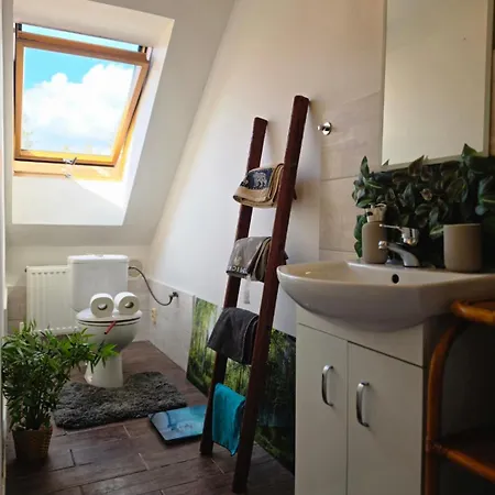 아파트 Big Spacious Family House Soustalova Street By Hifiklubbrno
