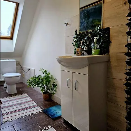 Big Spacious Family House Soustalova Street By Hifiklubbrno